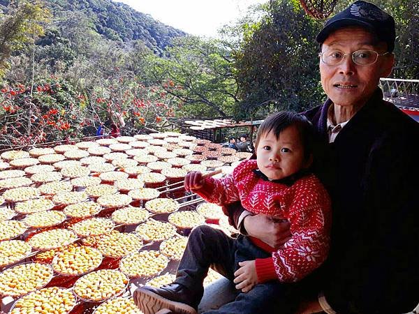 新竹景點 新埔美食 味衛佳 柿餅 觀光農場 Little Bear&apos;s Life