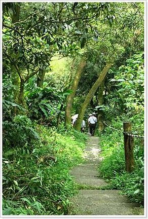 文筆山步道_031.JPG
