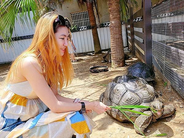 【遊記】動物農場推薦，和動物們近距離接觸：廢物媽媽育兒農場，