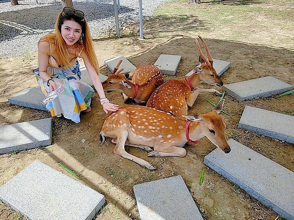 【遊記】動物農場推薦，和動物們近距離接觸：廢物媽媽育兒農場，