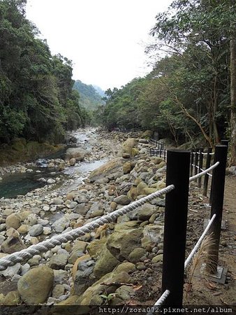 蓬萊溪 護魚步道