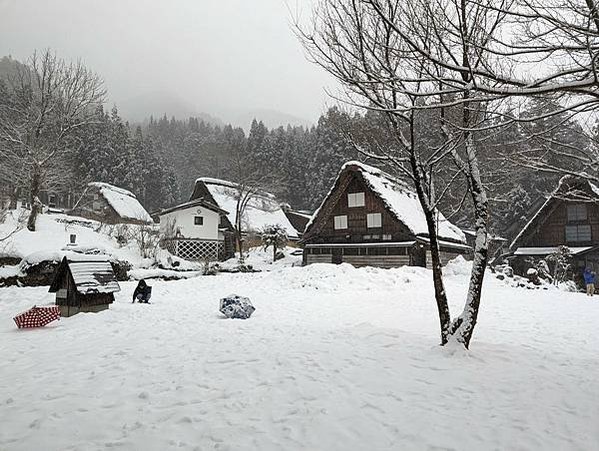 【大阪親子遊】大雪紛飛白川鄉