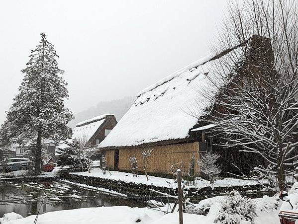 【大阪親子遊】大雪紛飛白川鄉