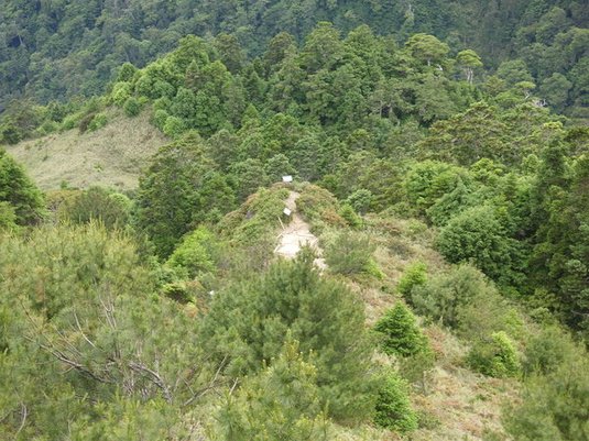 1010629~30桃山、喀拉業二秀兩天兩夜行程紀錄(第一天