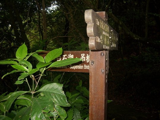 1010511內湖白石湖吊橋、忠勇山及碧山巖記錄~