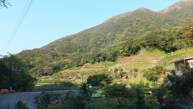 DSCF0010