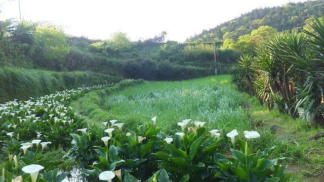 DSCF0025