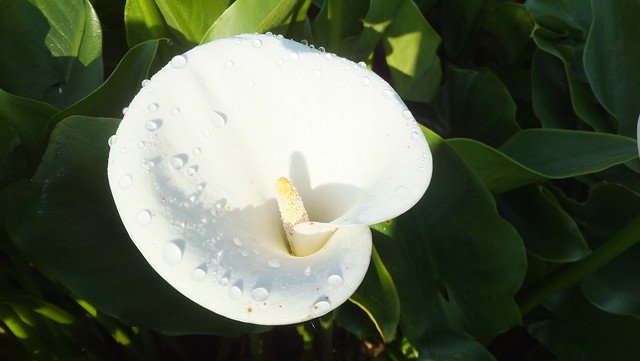 DSCF0040