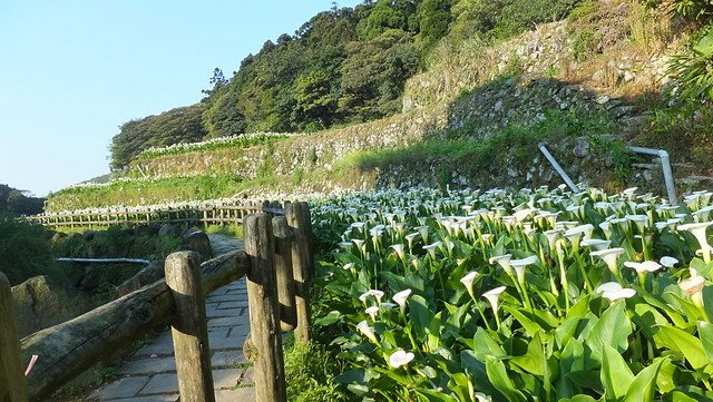 DSCF0046