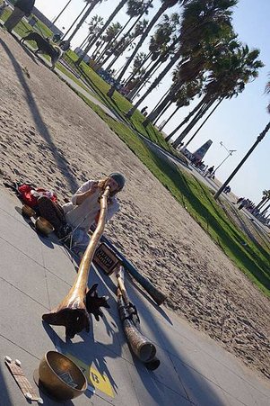 Day 7-LA-Ocean Front Walk &amp; Muscle Beach (15).jpg