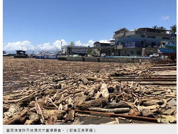 山老鼠/檜木分紅檜、扁柏兩種/「比炒房地產還凶」。市價一才（