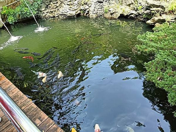 到漁港不只吃海鮮吃鵝肉吧/在地超人氣餐廳/郭鵝肉海產店