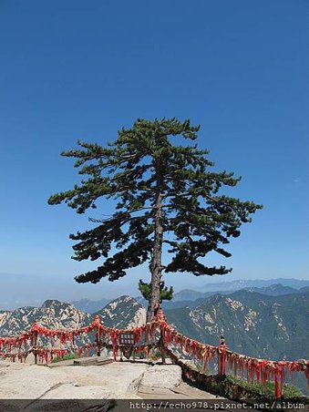 IMG_9205.JPG