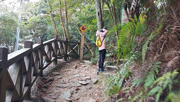 【鳶嘴山】鳶嘴山，全台知名危岩聳壁地形，挑戰驚險峭壁攀岩，走