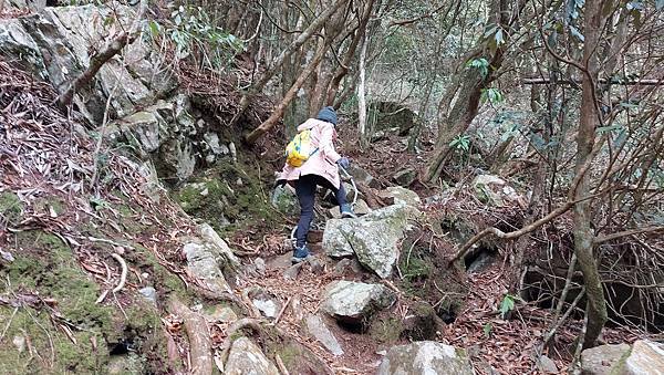 【鳶嘴山】鳶嘴山，全台知名危岩聳壁地形，挑戰驚險峭壁攀岩，走