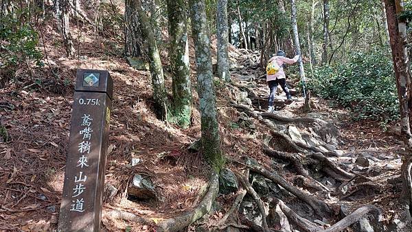 【鳶嘴山】鳶嘴山，全台知名危岩聳壁地形，挑戰驚險峭壁攀岩，走