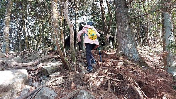 【鳶嘴山】鳶嘴山，全台知名危岩聳壁地形，挑戰驚險峭壁攀岩，走