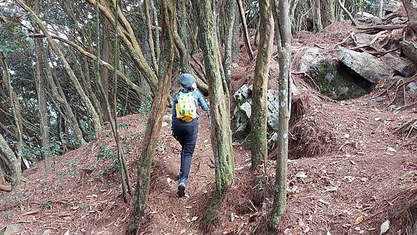 【鳶嘴山】鳶嘴山，全台知名危岩聳壁地形，挑戰驚險峭壁攀岩，走