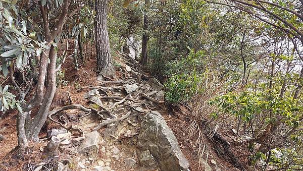 【鳶嘴山】鳶嘴山，全台知名危岩聳壁地形，挑戰驚險峭壁攀岩，走