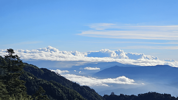 【武陵四秀桃山】一日單攻武陵四秀桃山，入門挑戰型百岳由此展開