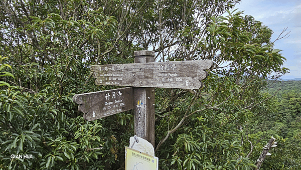 【金面山親山步道】台北內湖簡單又帶挑戰的網美登山聖地