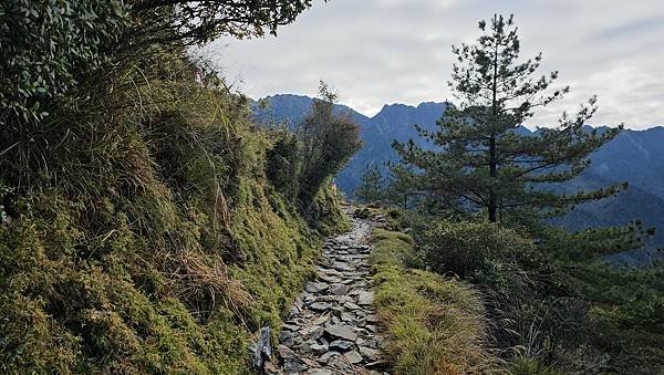 【玉山前峰】挑戰玉山群峰的前哨站~陡上亂石坡。
