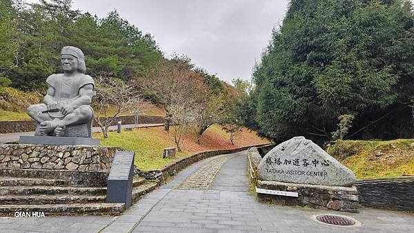 【麟趾山】【鹿林山】親民輕鬆步道卻擁有百岳級美景，眺望玉山群