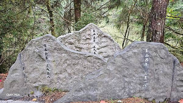 【麟趾山】【鹿林山】親民輕鬆步道卻擁有百岳級美景，眺望玉山群