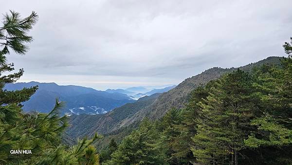 【麟趾山】【鹿林山】親民輕鬆步道卻擁有百岳級美景，眺望玉山群