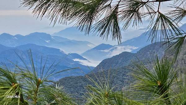 【麟趾山】【鹿林山】親民輕鬆步道卻擁有百岳級美景，眺望玉山群