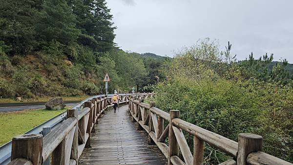 【麟趾山】【鹿林山】親民輕鬆步道卻擁有百岳級美景，眺望玉山群