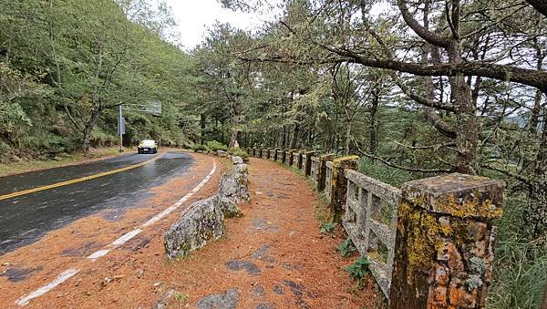 【麟趾山】【鹿林山】親民輕鬆步道卻擁有百岳級美景，眺望玉山群