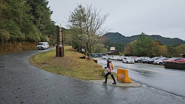 【麟趾山】【鹿林山】親民輕鬆步道卻擁有百岳級美景，眺望玉山群