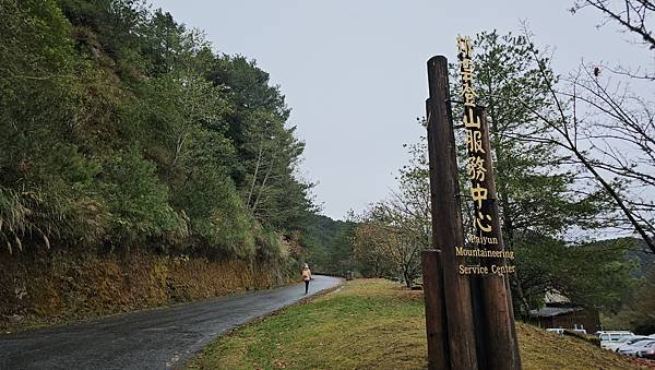 【麟趾山】【鹿林山】親民輕鬆步道卻擁有百岳級美景，眺望玉山群