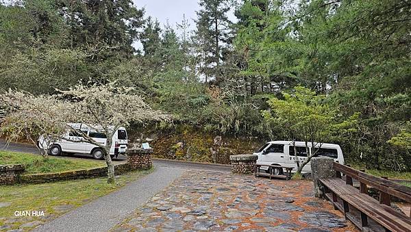 【麟趾山】【鹿林山】親民輕鬆步道卻擁有百岳級美景，眺望玉山群