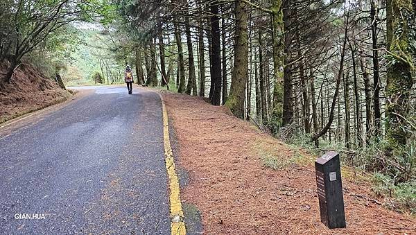 【麟趾山】【鹿林山】親民輕鬆步道卻擁有百岳級美景，眺望玉山群