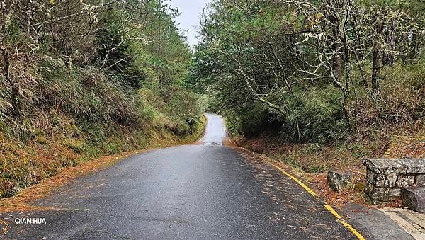 【麟趾山】【鹿林山】親民輕鬆步道卻擁有百岳級美景，眺望玉山群