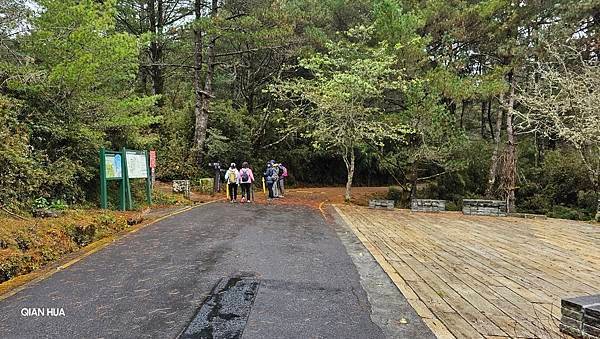 【麟趾山】【鹿林山】親民輕鬆步道卻擁有百岳級美景，眺望玉山群