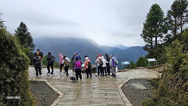 【麟趾山】【鹿林山】親民輕鬆步道卻擁有百岳級美景，眺望玉山群