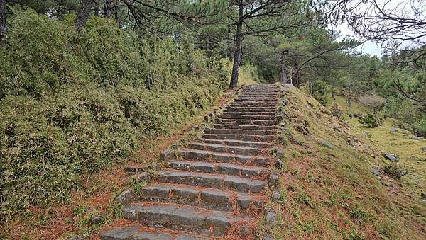 【麟趾山】【鹿林山】親民輕鬆步道卻擁有百岳級美景，眺望玉山群