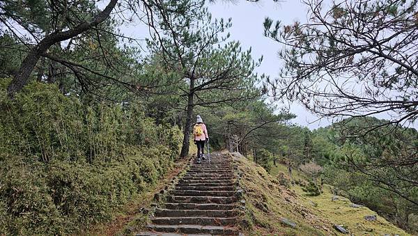 【麟趾山】【鹿林山】親民輕鬆步道卻擁有百岳級美景，眺望玉山群