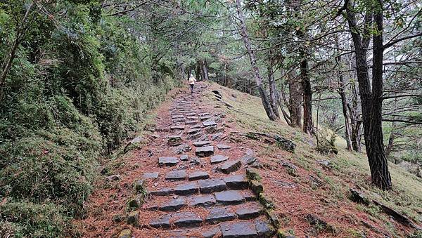 【麟趾山】【鹿林山】親民輕鬆步道卻擁有百岳級美景，眺望玉山群