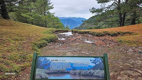 【麟趾山】【鹿林山】親民輕鬆步道卻擁有百岳級美景，眺望玉山群