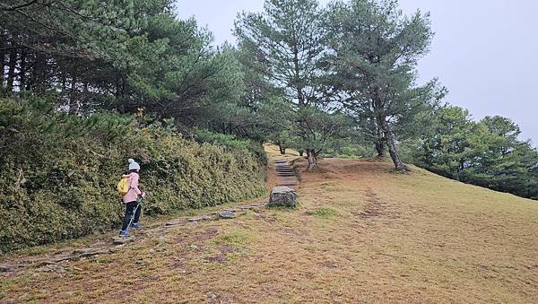 【麟趾山】【鹿林山】親民輕鬆步道卻擁有百岳級美景，眺望玉山群