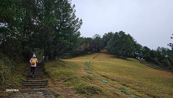 【麟趾山】【鹿林山】親民輕鬆步道卻擁有百岳級美景，眺望玉山群