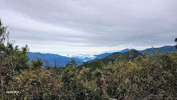 【麟趾山】【鹿林山】親民輕鬆步道卻擁有百岳級美景，眺望玉山群