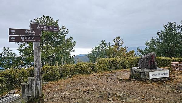 【麟趾山】【鹿林山】親民輕鬆步道卻擁有百岳級美景，眺望玉山群