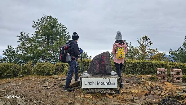 【麟趾山】【鹿林山】親民輕鬆步道卻擁有百岳級美景，眺望玉山群