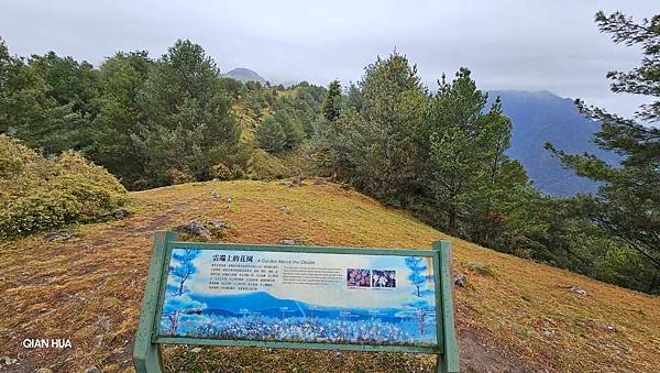 【麟趾山】【鹿林山】親民輕鬆步道卻擁有百岳級美景，眺望玉山群