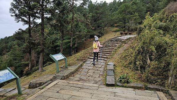 【麟趾山】【鹿林山】親民輕鬆步道卻擁有百岳級美景，眺望玉山群